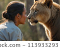 A brave zoologist gets close to a lioness. Intimate wildlife interaction and conservation. 113933293