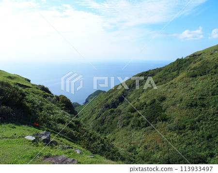 Chiburi Island Oki scenery 113933497