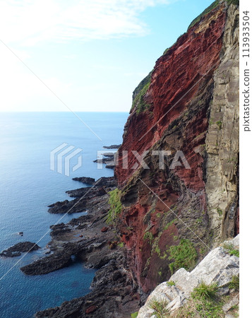 知夫島隱木風景懸崖 知夫島隱木風景懸崖 113933504