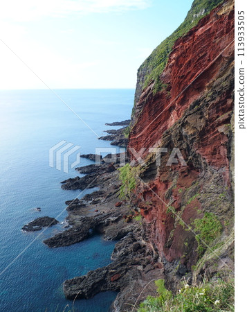 知夫島隱木風景懸崖 知夫島隱木風景懸崖 113933505