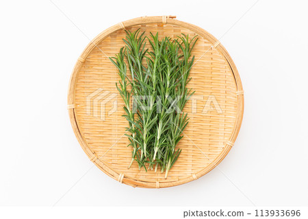 Rosemary on a white background Rosemary on a white background 113933696