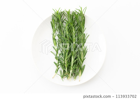 白色背景上的迷迭香 113933702