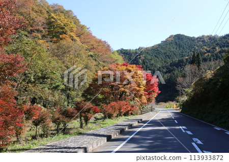石鎚連峰的紅葉 113933872