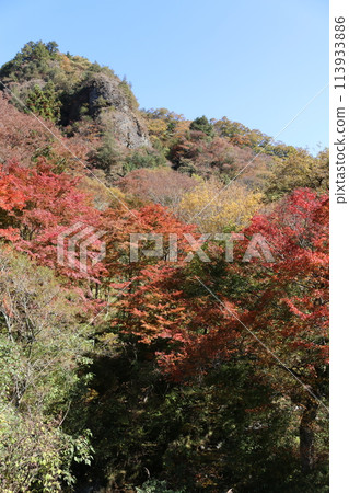 石鎚連峰的紅葉 113933886