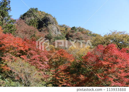 Autumn leaves of the Ishizuchi mountain range 113933888