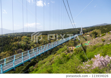 Mishima Sky Walk 113934026