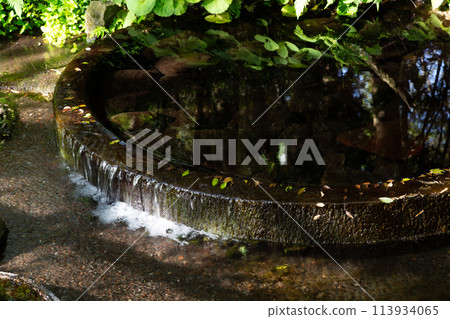 Spring water at Kakitagawa Park in Mishima City 113934065