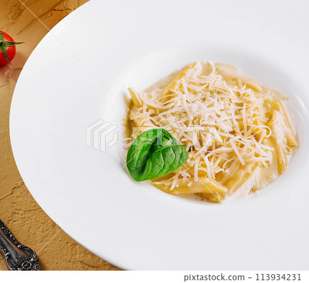 penne pasta with parmesan 113934231