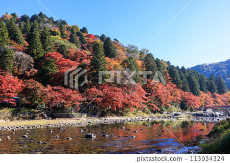 One of Japan's 100 best autumn foliage spots: Korankei, Toyota City, Aichi Prefecture One of Japan's 100 best autumn foliage spots: Korankei, Toyota City, Aichi Prefecture 113934324