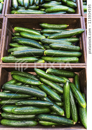Cucumbers harvest on the supermarket counter. Farm cucumbers in boxes on a market display. 113934595