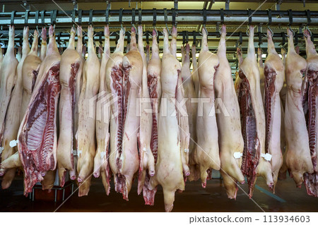 Pork meat in production. Fresh pork carcasses in a meat factory warehouse 113934603
