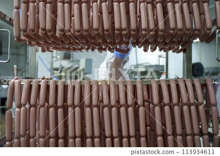 Production of meat sausages. Meat factory and industry. Production of meat sausages. Meat factory and industry. 113934611