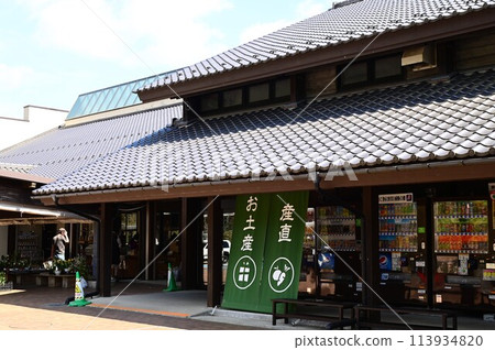 Spring in Tono Spring in Tono 113934820