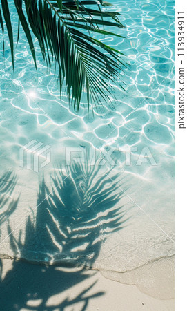 Palm branch against the background of clear sea water 113934911