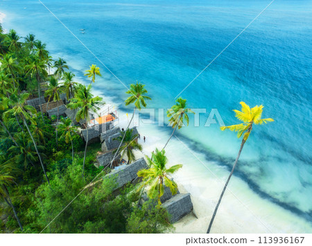 Aerial view of palms, bungalows, sandy beach, sea with waves Aerial view of palms, bungalows, sandy beach, sea with waves 113936167