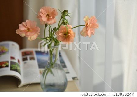 靠窗的花毛un 113936247