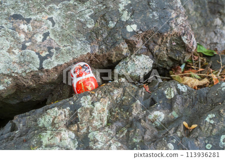 Photographed Daruma of Katsuo-ji Temple in Minoo City, Osaka Prefecture Photographed Daruma of Katsuo-ji Temple in Minoo City, Osaka Prefecture 113936281