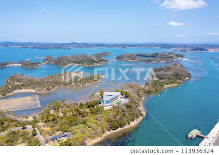 Matsushima in Spring (Shiogama City, Miyagi Prefecture) 113936324