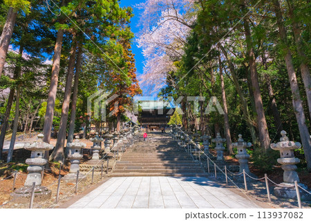 宮城縣仙台市，春天的仙台東照宮參拜道 113937082