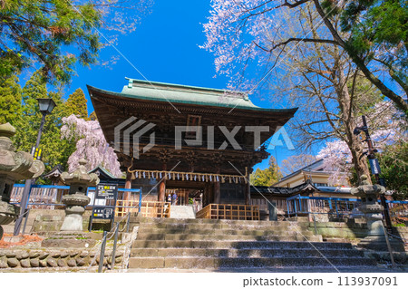 宮城縣仙台市 春天的仙台東照宮瑞神門 113937091