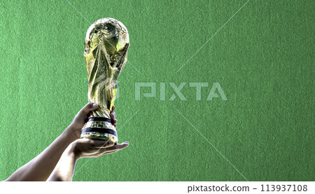 A person is holding a gold soccer ball trophy 113937108