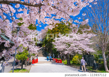 Sendai Toshogu Shrine in Spring, Sendai City, Miyagi Prefecture Sendai Toshogu Shrine in Spring, Sendai City, Miyagi Prefecture 113937112