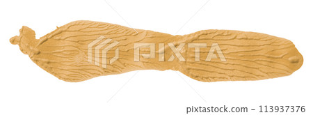 Orange brush isolated on white background. golden apricot color 113937376