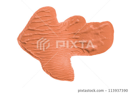 Orange brush isolated on white background. golden apricot color 113937390