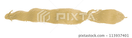 Light brown brush isolated on white background. Watercolor Light brown brush isolated on white background. Watercolor 113937401