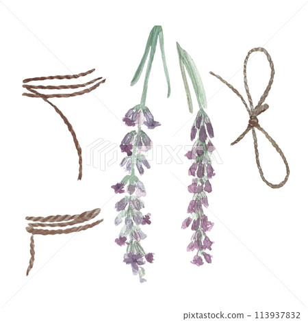 Jute rope set, tied in a ribbon, string wrapped for bunch of flowers, lavender sprigs isolated on white. Hand painted in watercolor. Natural high quality string for eco design, packages and labels Jute rope set, tied in a ribbon, string wrapped for bunch of flowers, lavender sprigs isolated on white. Hand painted in watercolor. Natural high quality string for eco design, packages and labels 113937832