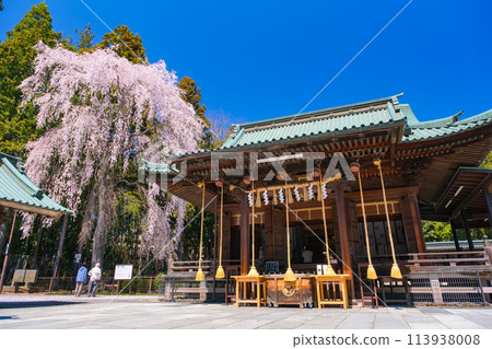 宮城縣仙台市春天的仙台東照宮靈堂 113938008