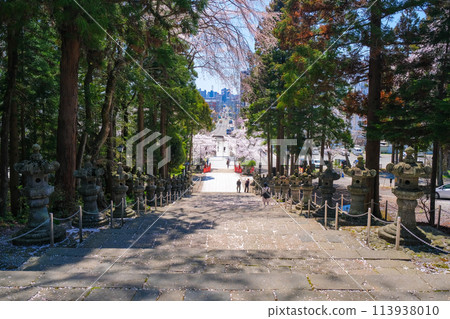 Sendai Toshogu Shrine in Spring, Sendai City, Miyagi Prefecture 113938010
