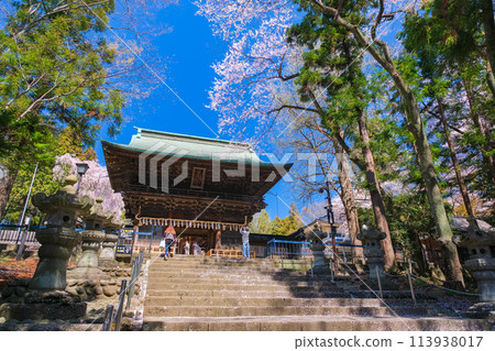 宮城縣仙台市 春天的仙台東照宮瑞神門 宮城縣仙台市 春天的仙台東照宮瑞神門 113938017