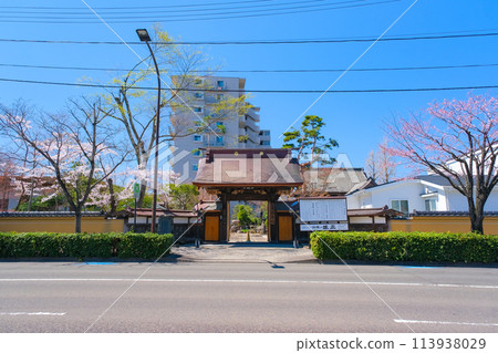 Spring at Sen-gaku-in Temple, Sendai, Miyagi Prefecture 113938029