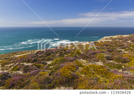 Landscape in Cap de la Chevre, Crozon, Brittany, France 113938426