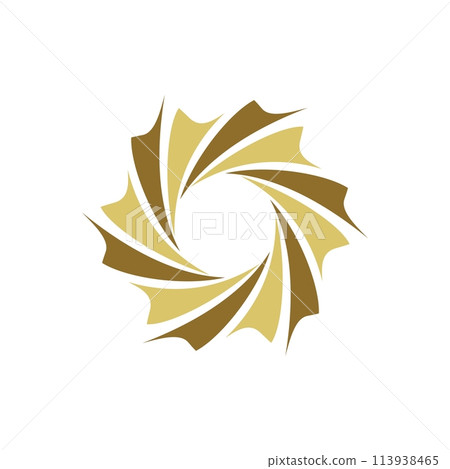 Ornamental Swirl Star Logo Template Illustration Design. Vector EPS 10. Ornamental Swirl Star Logo Template Illustration Design. Vector EPS 10. 113938465