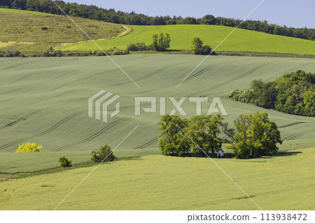 Landscape with chapel of St. Barborkas near Strazovice, Southern Moravia, Czech Republic 113938472