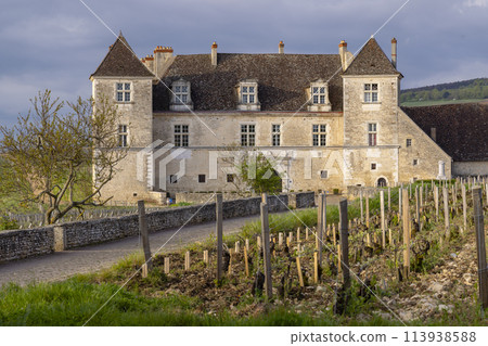 Typical vineyards near Clos de Vougeot, Cote de Nuits, Burgundy, France 113938588
