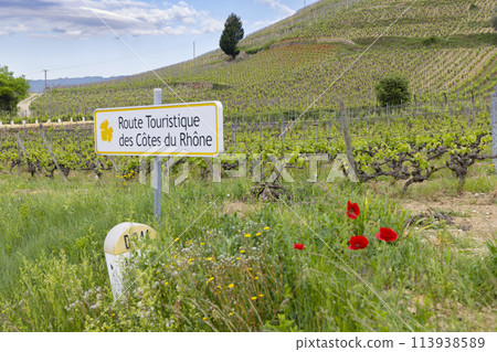 Typical vineyard with Wine road (Route Touristique des Cotes du Rhone) near Tain l'Hermitage, Cotes du Rhone, France Typical vineyard with Wine road (Route Touristique des Cotes du Rhone) near Tain l'Hermitage, Cotes du Rhone, France 113938589