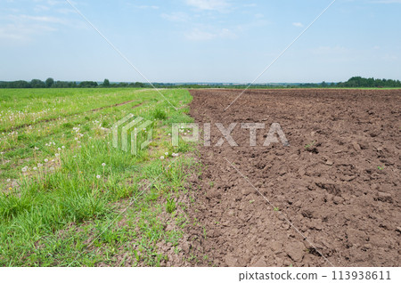 Country landscape, arable land, green meadow 113938611