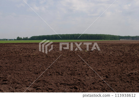 Country landscape, spring arable land 113938612