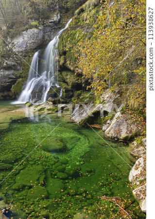 Waterfall Virje (Slap Virje), Triglavski national park, Slovenia 113938627