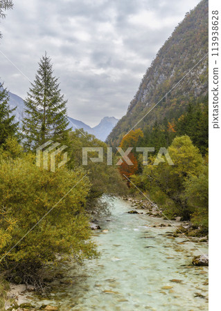 Typical landscape near river Soca, Triglavski national park, Slovenia 113938628