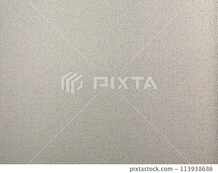 白皮書背景紋理 113938686