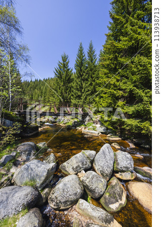 Spring landscape near Karlovsky most, Czech and Poland border, Jizerky mountains, Czech Republic 113938713