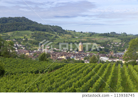 Vineyards with Arbois town, Department Jura, Franche-Comte, France Vineyards with Arbois town, Department Jura, Franche-Comte, France 113938745