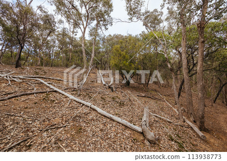 Plenty Gorge Parklands in Australia 113938773