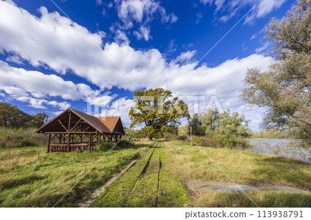 Gemenc, unique forest between Szekszard and Baja, Dunaj-Drava National Park, Hungary Gemenc, unique forest between Szekszard and Baja, Dunaj-Drava National Park, Hungary 113938791