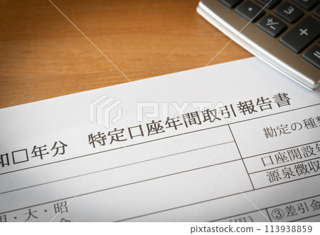 特定帳戶年度交易報告投資 特定帳戶年度交易報告投資 113938859