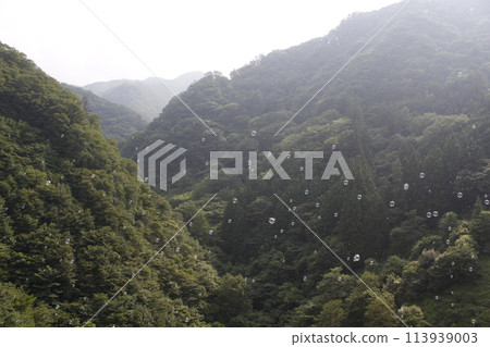 road surrounded by mountains 113939003